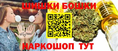 индика Кулебаки