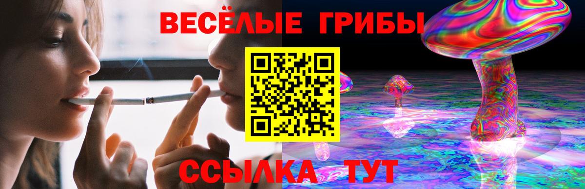 Галлюциногенные грибы MAGIC MUSHROOMS Горячий Ключ